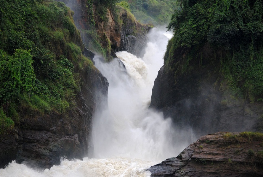 Wildlife Safaris and tours in murchisson falls national park